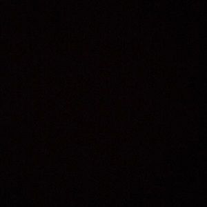 Meet your Posher, Ella